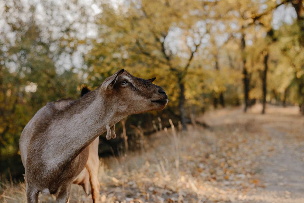 Photograph by Марина