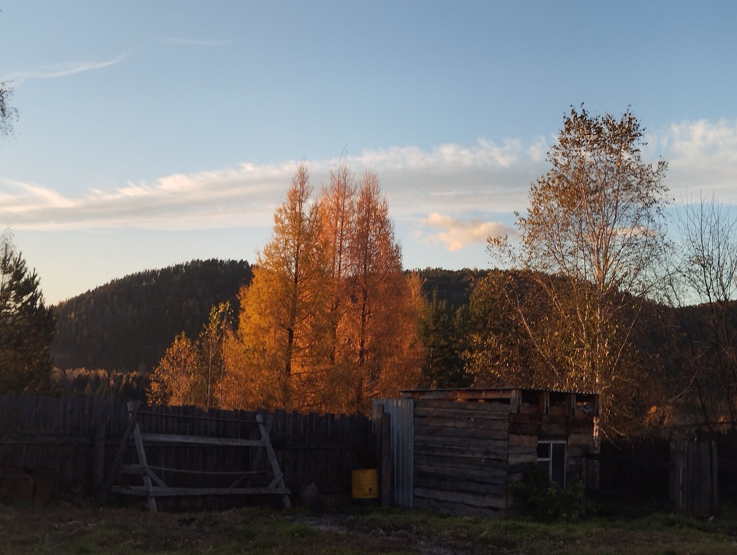 Photo #11189215