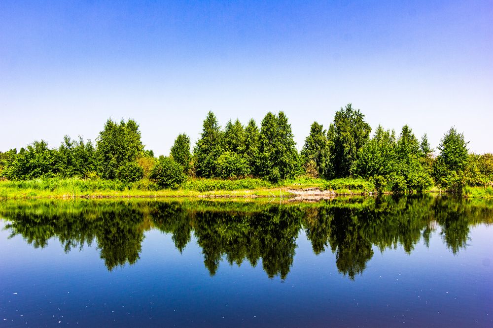 Photograph by Владимир Сушкин