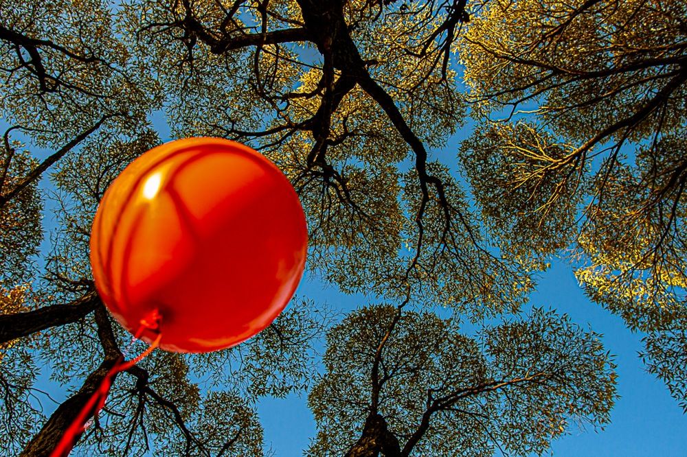 Фотография автора Екатерина Першина