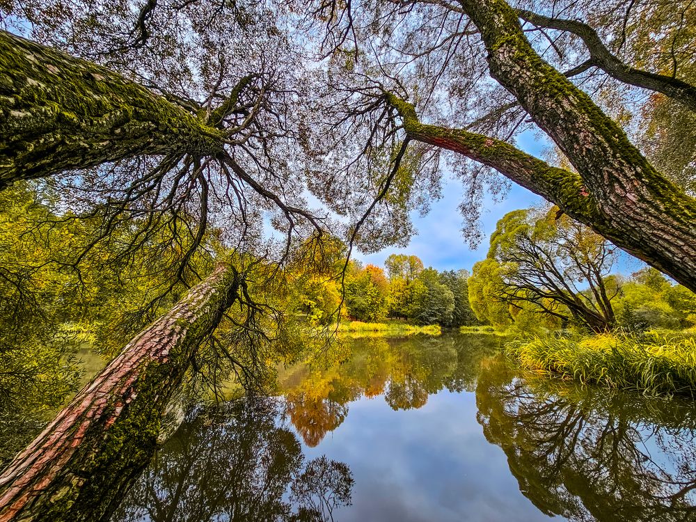 Photograph by Сергей Кесаев