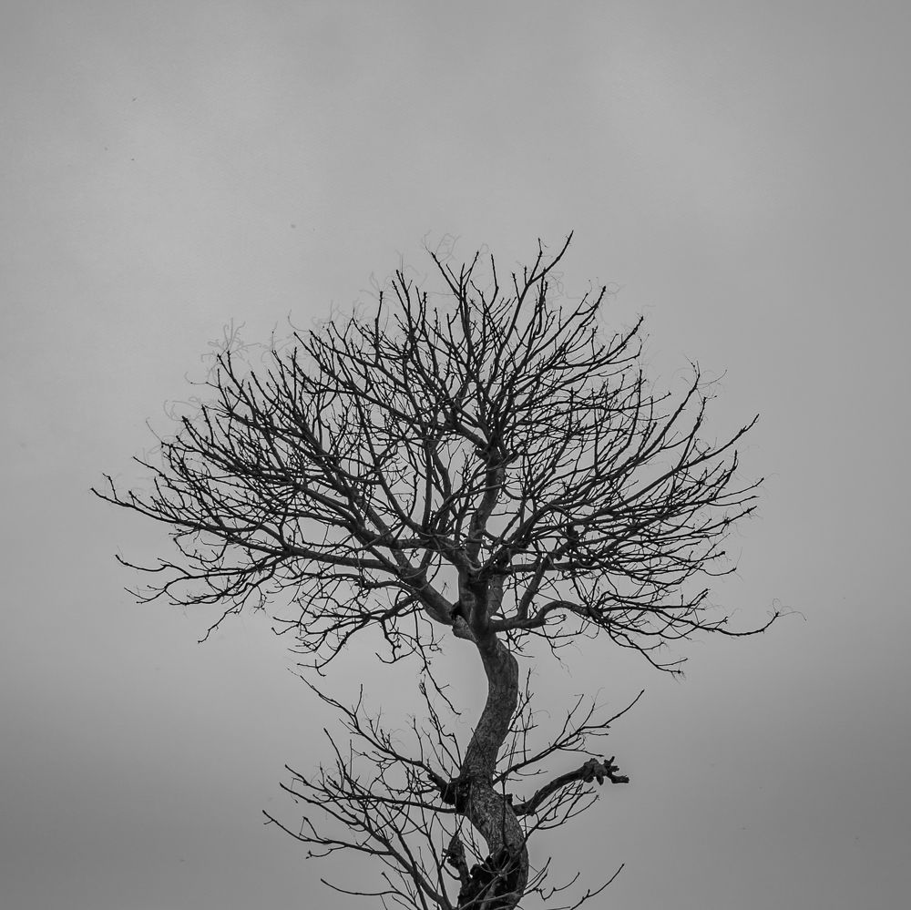 Photograph by Arindam Sarkar
