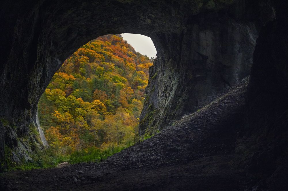 Фотография автора Анна Олещук