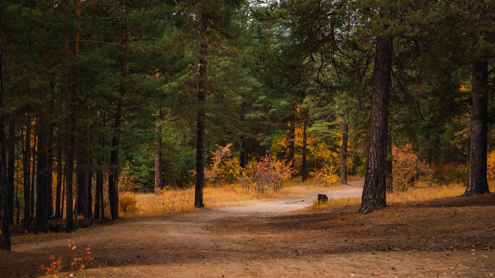 Photograph by Шмаков Денис