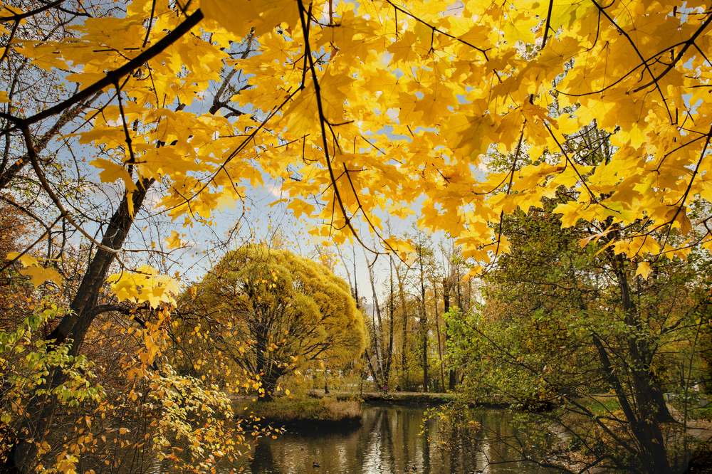 Photograph by Ольга Лукахина