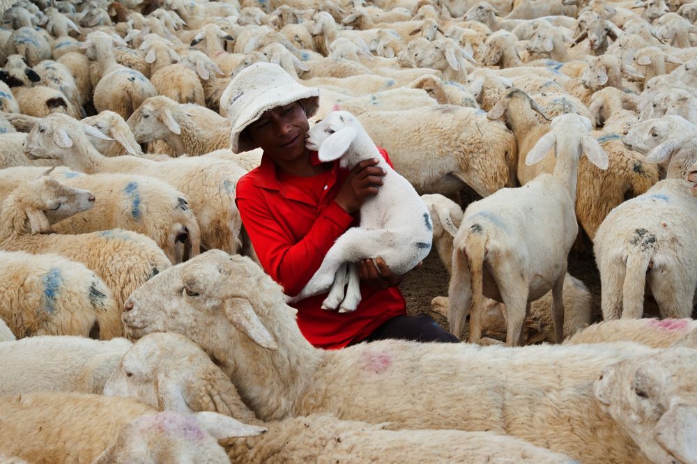 Photograph by Hà Thạnh