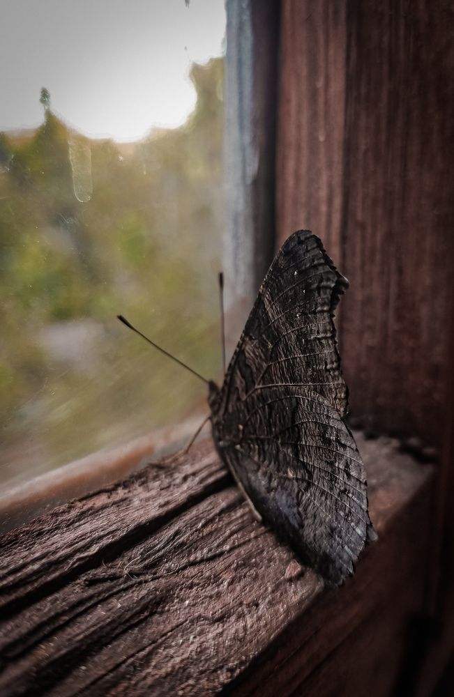 Photograph by Евгения Журавлева