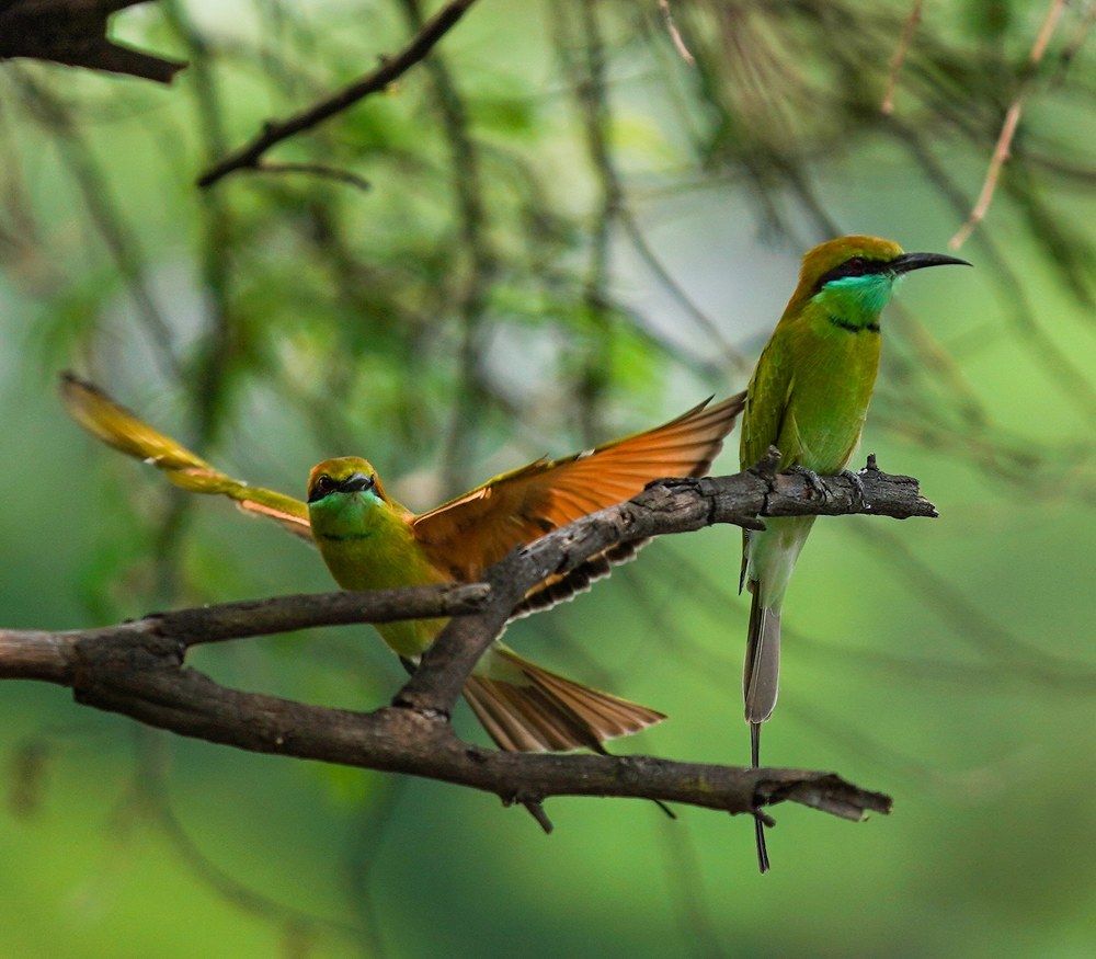 Photograph by Amit Kumar