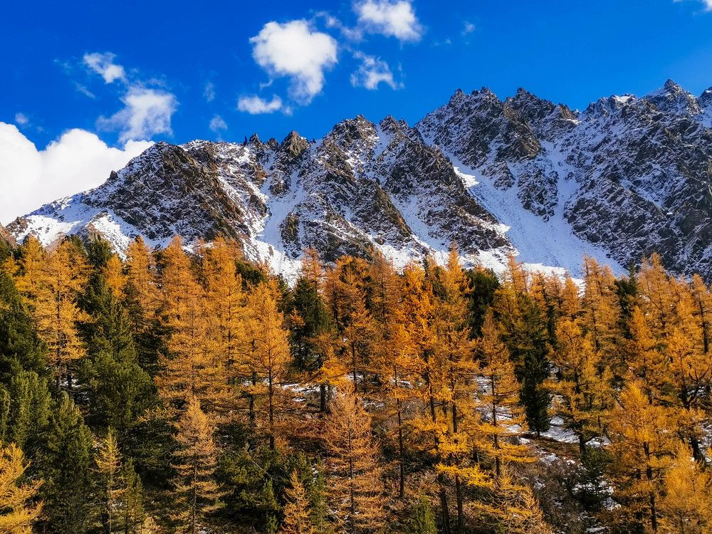 Photograph by Никита Караваев