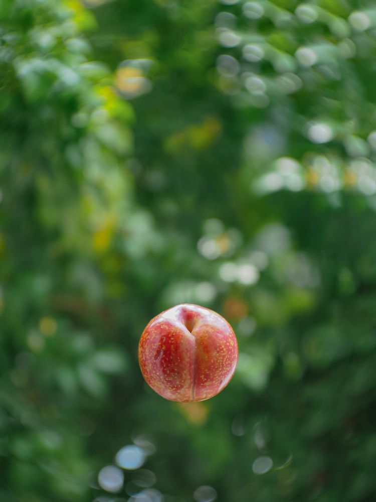 Photograph by Chau Nguyen