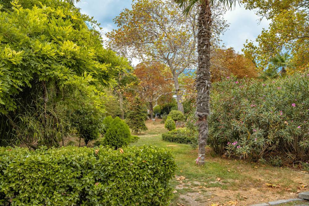 Ранняя осень в ялте