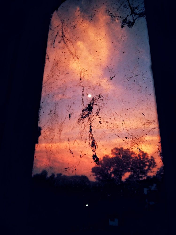 Photograph by Oviul Maruf