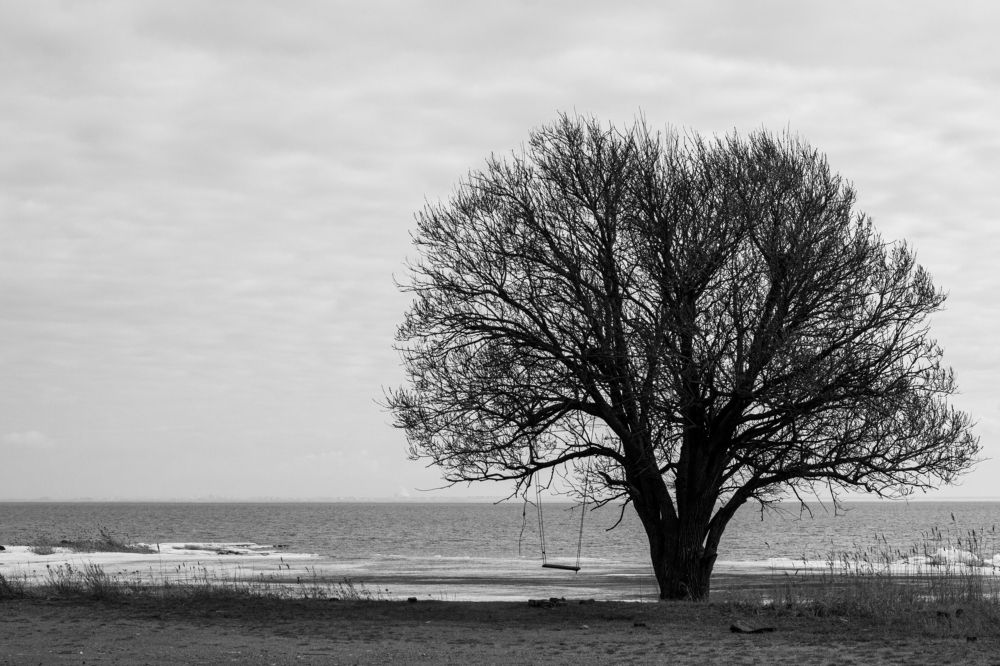 Photograph by Ирина Антонова