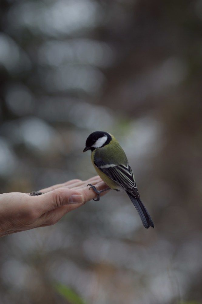 Photograph by Елена Шишкина