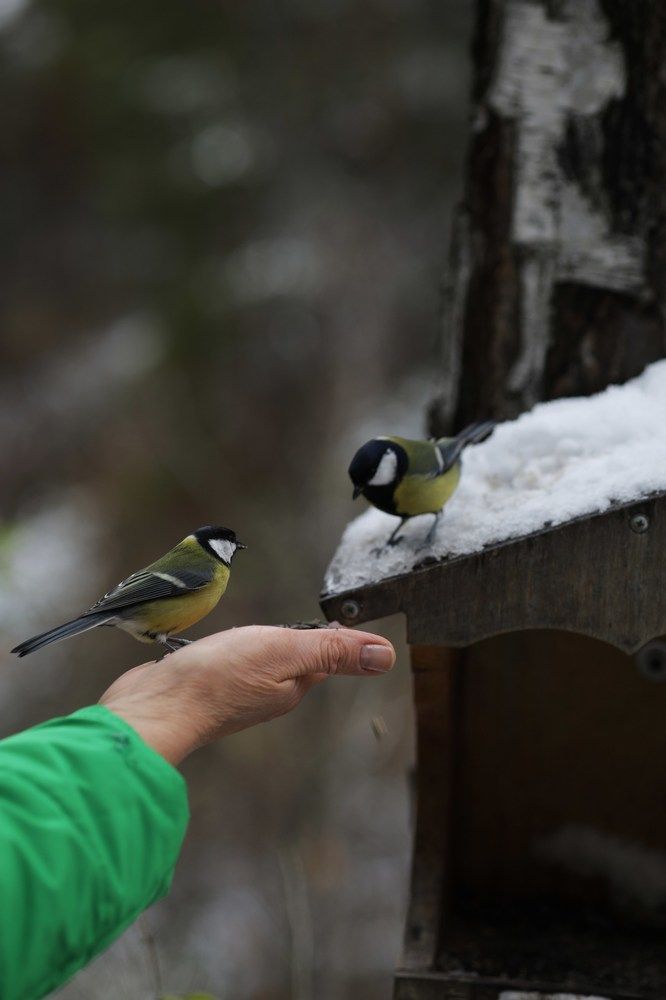 Photograph by Елена Шишкина
