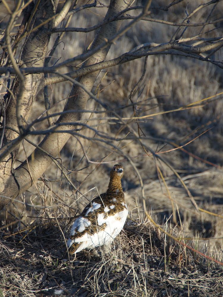 Фотография автора Мария Черница