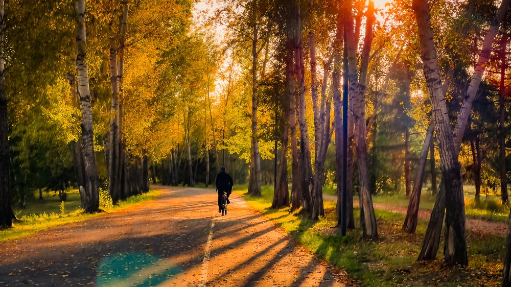 Photograph by Роман Алейников