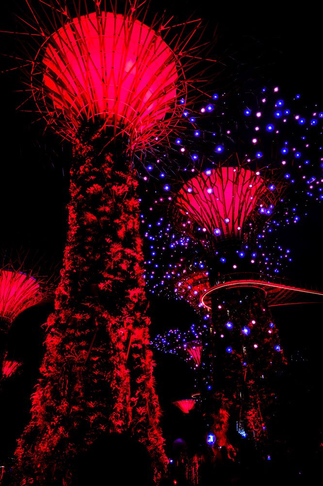 Фотография автора Gustavo Orellana