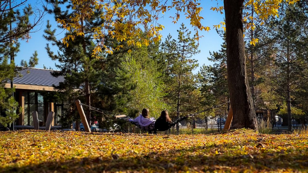 Photograph by Роман Алейников