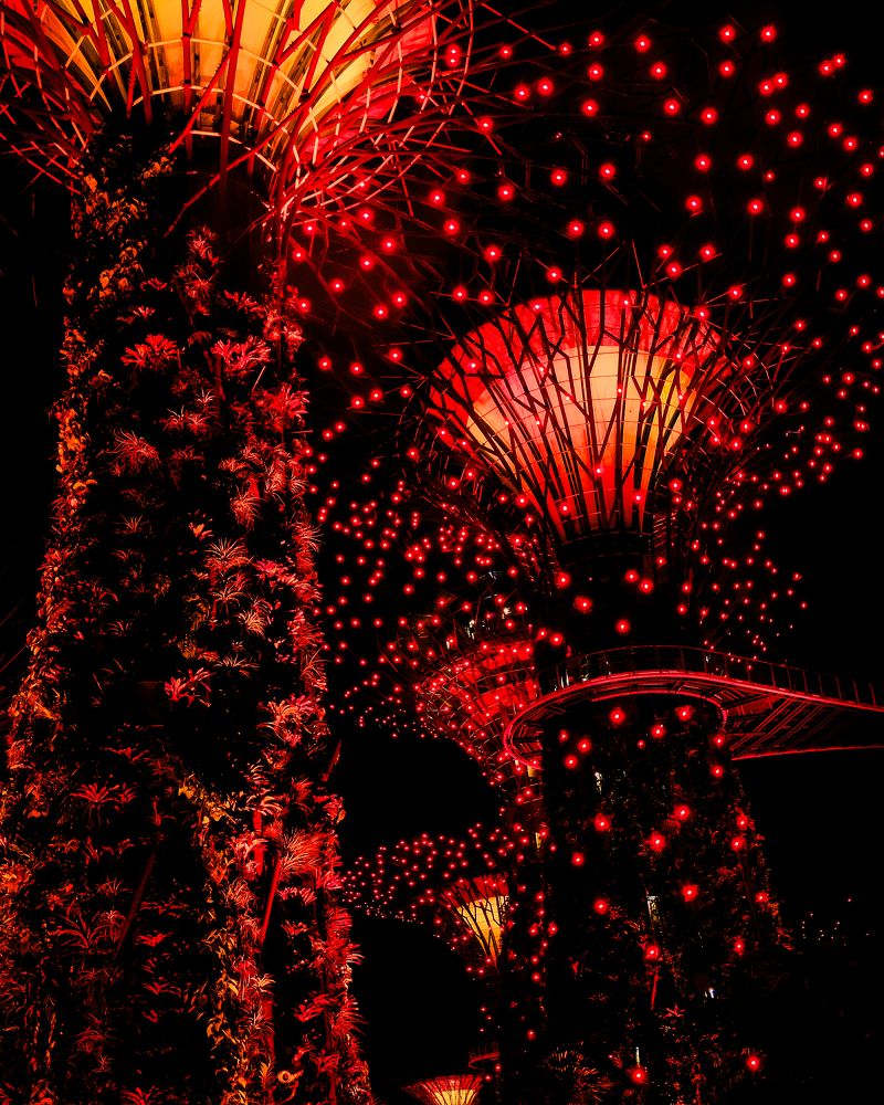 Фотография автора Gustavo Orellana