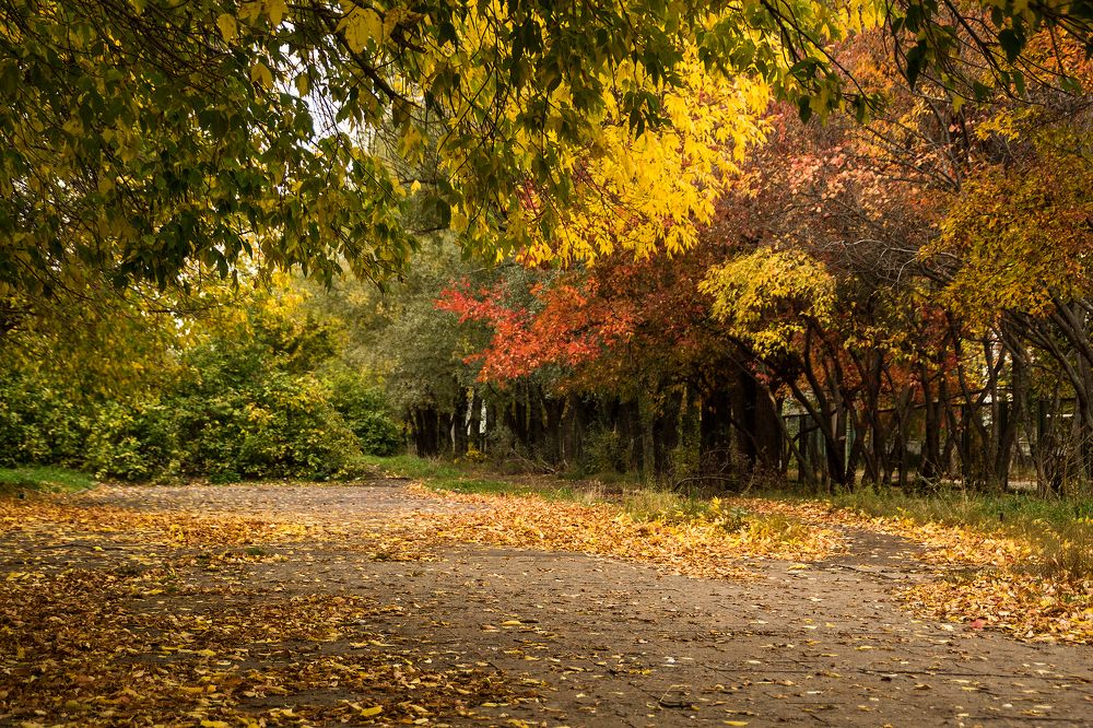 Фотография автора Бушенёв Михаил