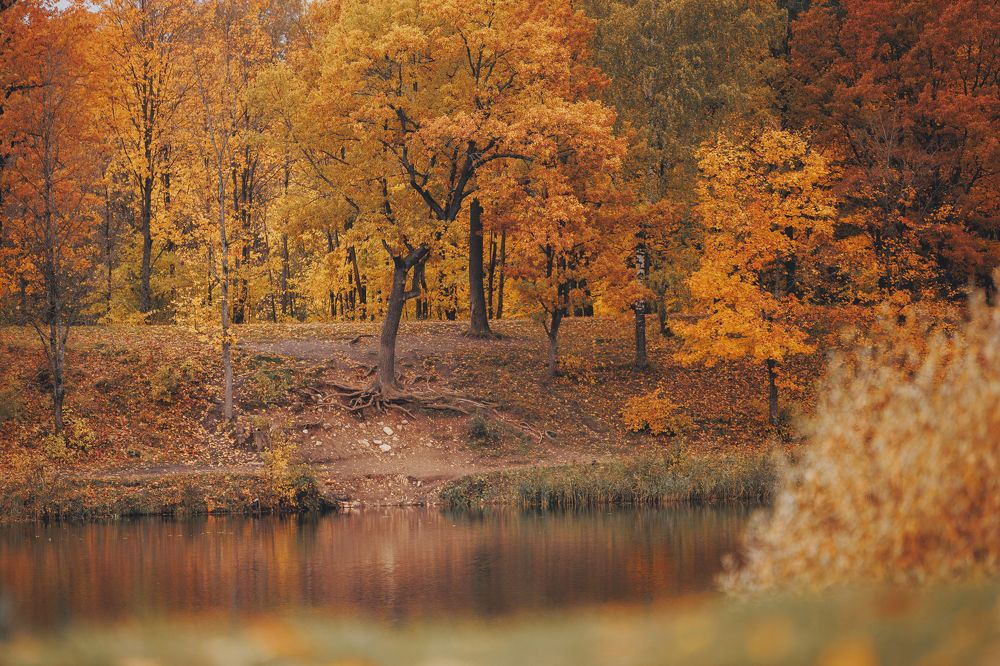 Photograph by Мария Клещенко