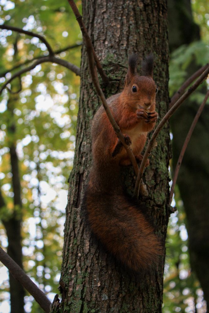 Фотография автора Vika Vika