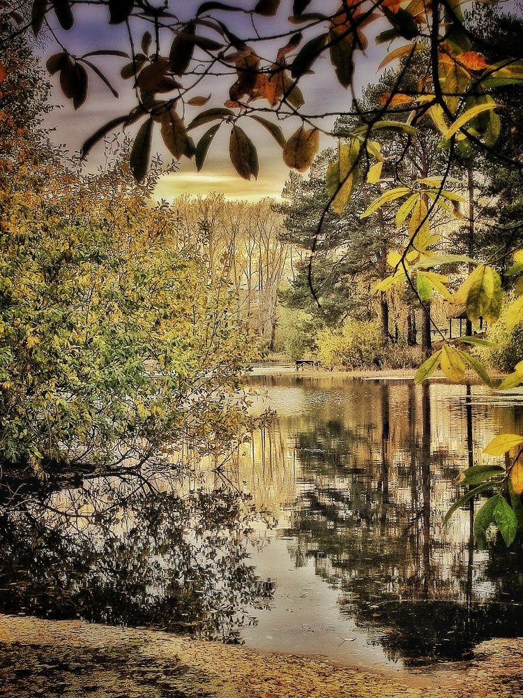 Photograph by Anastasia Malyukova