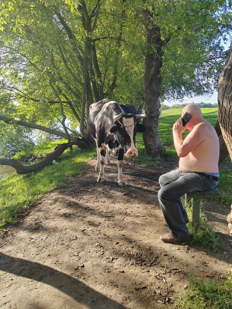 Фотография автора Татьяна Егорова