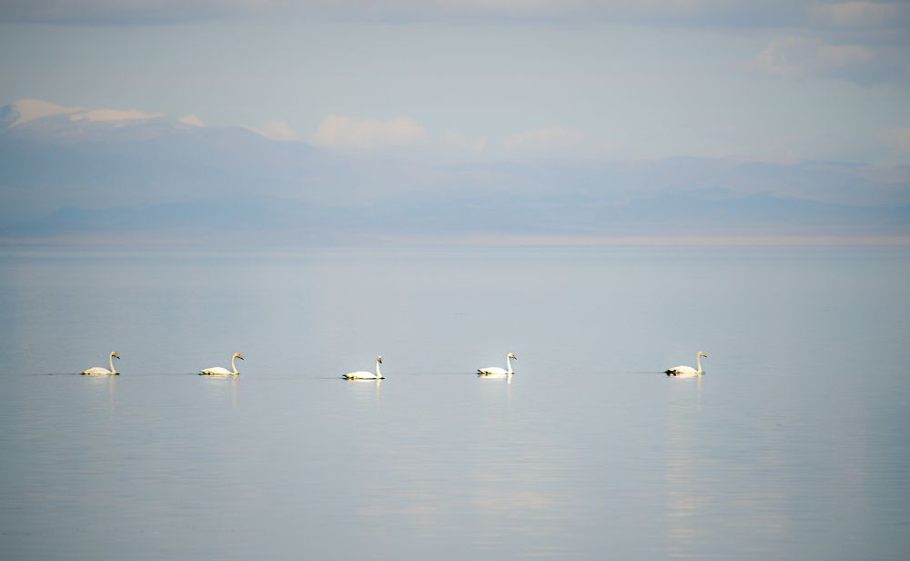 Photograph by Валентин Казанцев