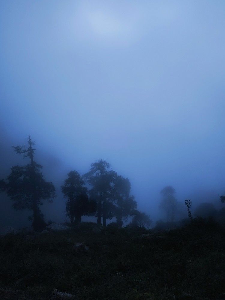 Photo #11189783