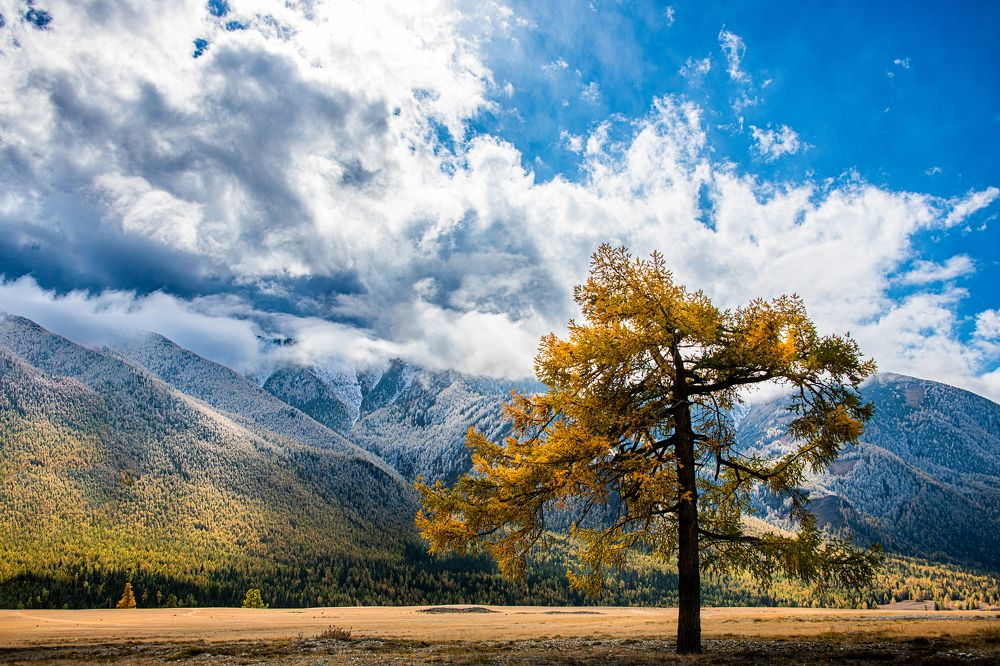 Photograph by Валентин Казанцев