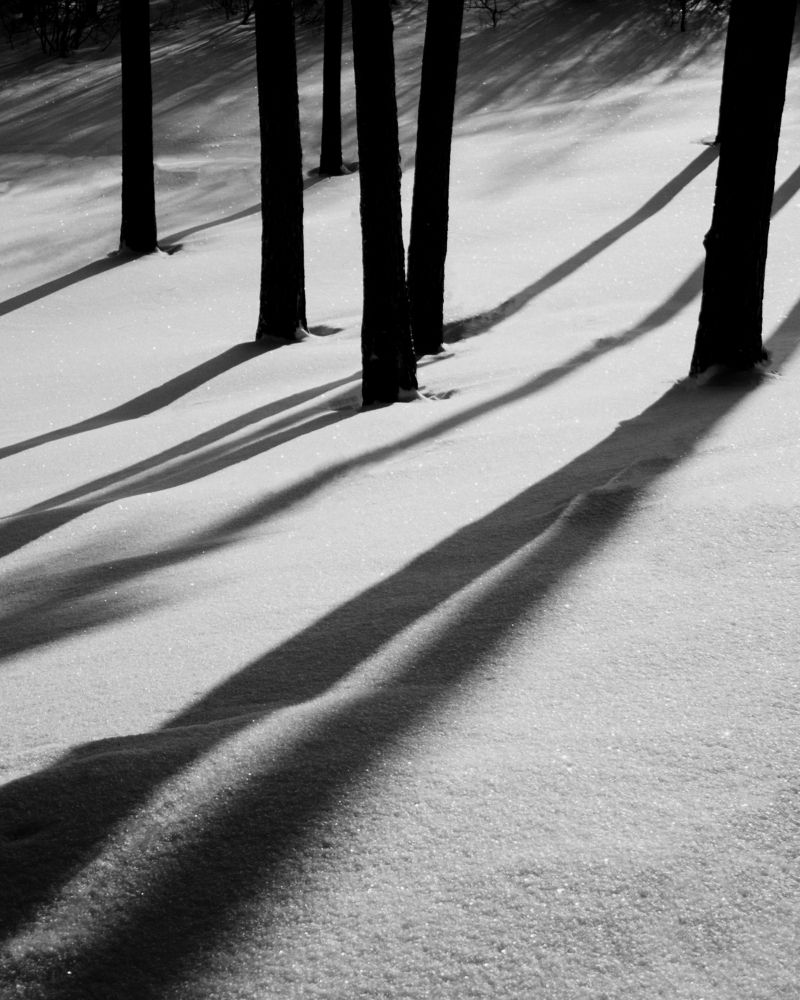 Photograph by Florian Wood