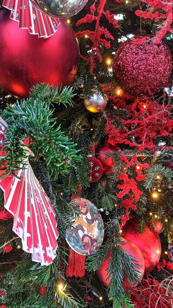 Фотография автора Васильева Ирина