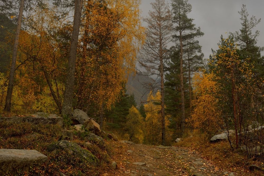 Осень в горах Кавказа