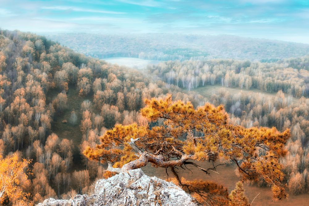 Photograph by Элеонора Имгрунт