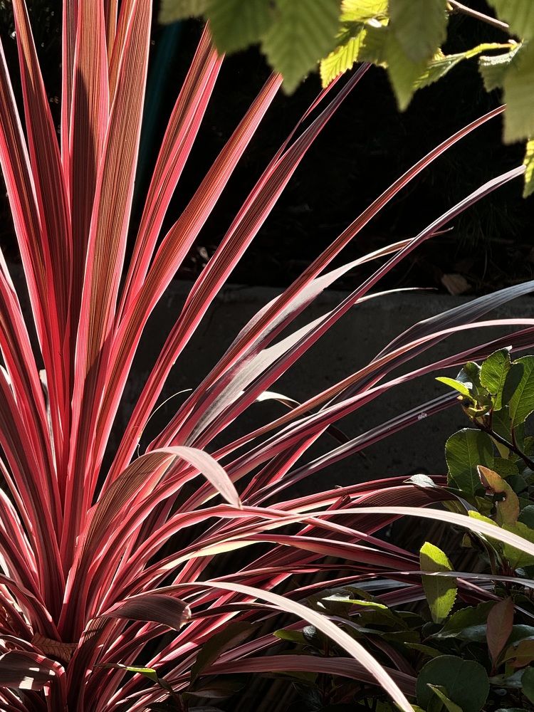 Photograph by Ольга Шабалина