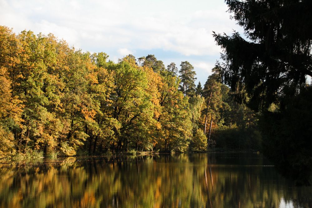 Photograph by Юлия Журавлёва