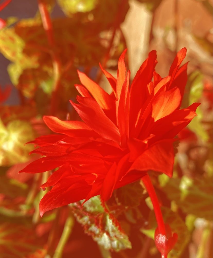 Photograph by Ольга Шабалина