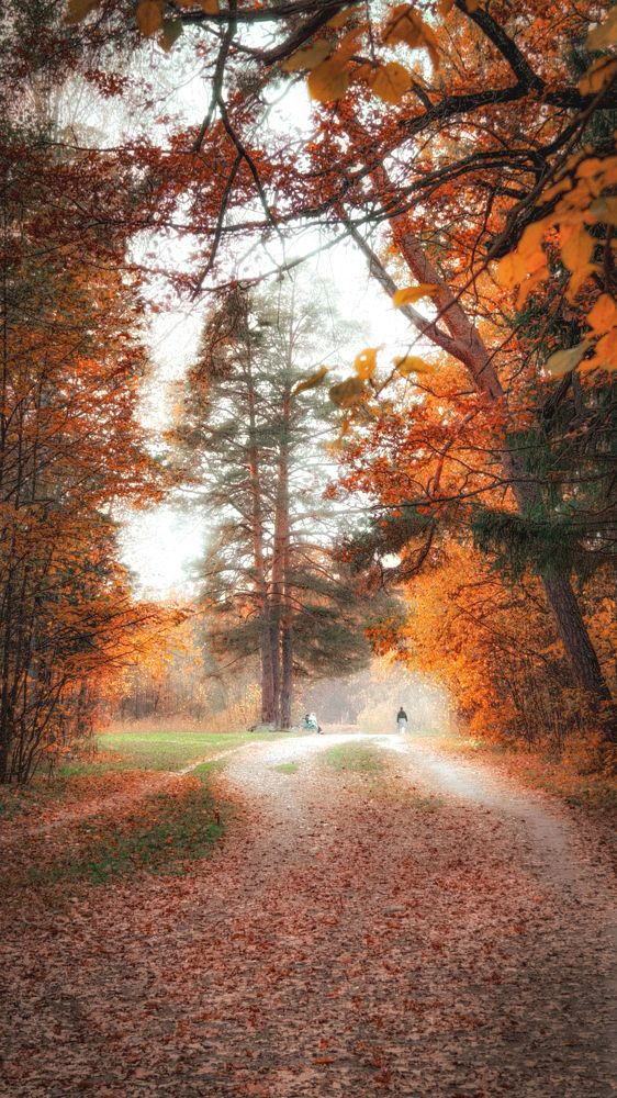 Photograph by Ольга Казакова