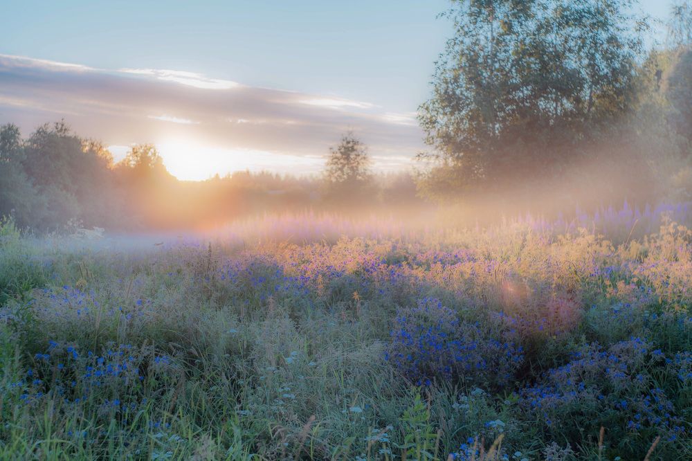 Photograph by Наталья Вторыгина