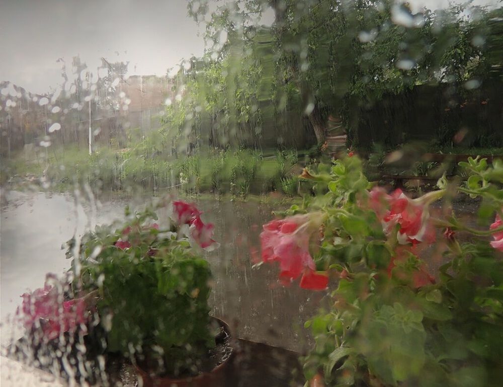 Photograph by Савоцкий Роман