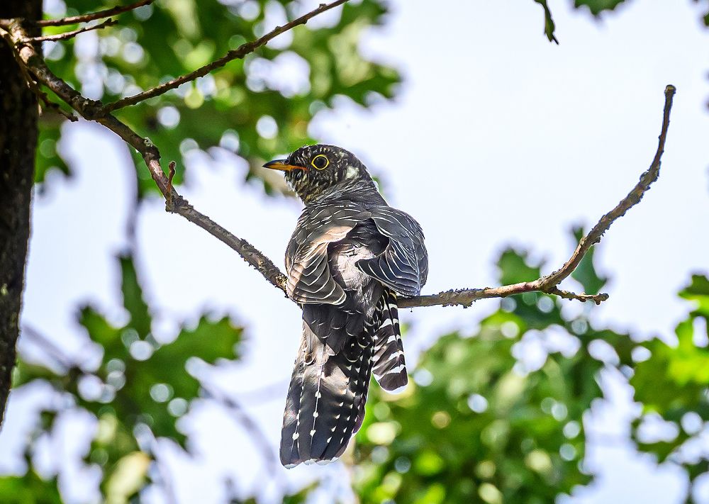 Photograph by Мария Новоселецкая