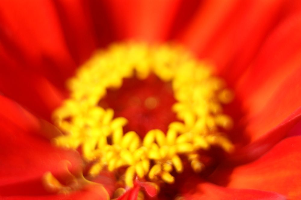 Photograph by Елена