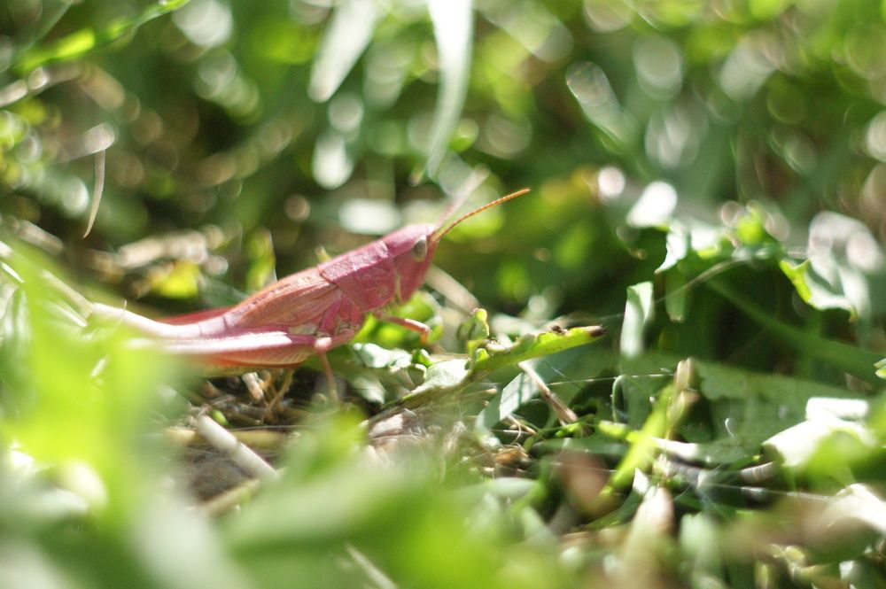 Photograph by Елена