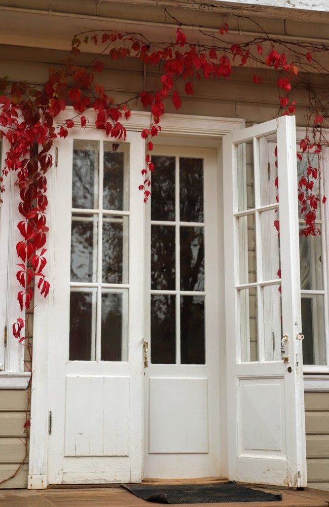 Photograph by Ася Радченко