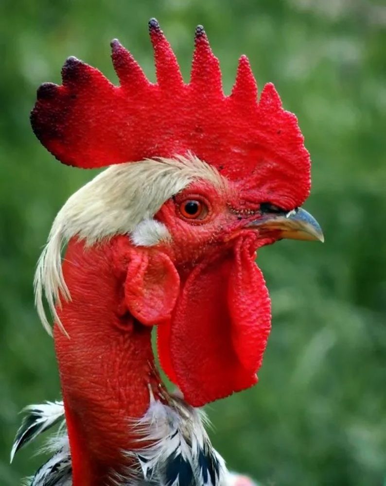 Фотография автора Роман Савоцкий