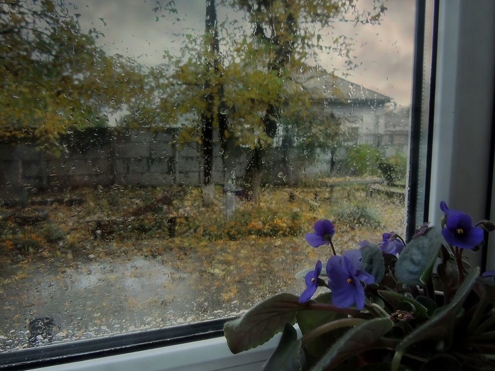 Фотография автора Роман Савоцкий