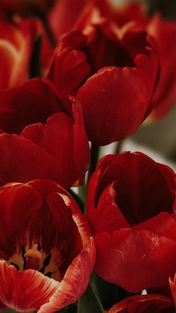 Photograph by Ольга Казакова