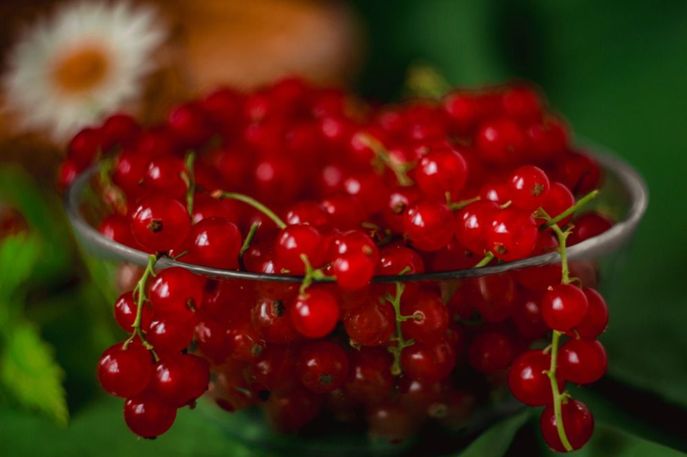 Photograph by Ольга Казакова